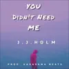 You Didn't Need Me (feat. Karasama Beats) album lyrics, reviews, download