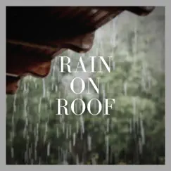 Rain on Roof by Background Noise from Traxlab album reviews, ratings, credits