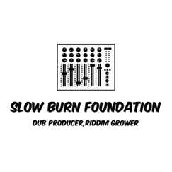 Thaistick=Medicine - Single by Slow Burn Foundation album reviews, ratings, credits