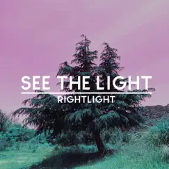 See the light - Single by RightLight album reviews, ratings, credits