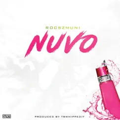 Nuvo - Single by RocszMuni album reviews, ratings, credits
