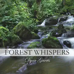 Forest Whispers (feat. Sherry Finzer) Song Lyrics