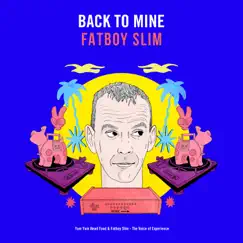 The Voice of Experience - Single by Yum Yum Head Food & Fatboy Slim album reviews, ratings, credits