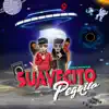 Suavecito Pegaito - Single album lyrics, reviews, download