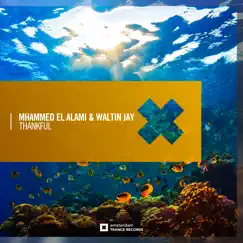 Thankful - Single by Mhammed El Alami & Waltin Jay album reviews, ratings, credits