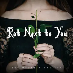 Rot Next to You - Single by The Hound + The Fox album reviews, ratings, credits