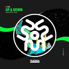 Up & Down - Single by LNK album reviews, ratings, credits