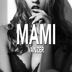 Mami - Single by Vanzer album reviews, ratings, credits