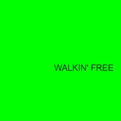 Walkin' Free - Single by Brian Rogers album reviews, ratings, credits