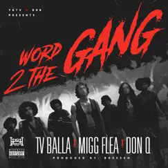 Word 2 the Gang (feat. Don Q) - Single by Tv balla & Migg Flea album reviews, ratings, credits