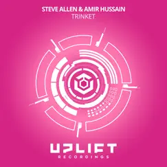 Trinket - Single by Steve Allen & Amir Hussain album reviews, ratings, credits