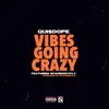 Vibes Going Crazy (feat. SpacedOutFly) - Single album lyrics, reviews, download