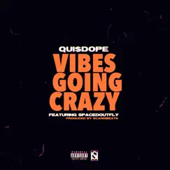 Vibes Going Crazy (feat. SpacedOutFly) Song Lyrics