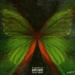 The Butterfly Effect Song Lyrics