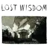 Lost Wisdom (feat. Julie Doiron & Fred Squire) album lyrics, reviews, download