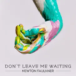 Don't Leave Me Waiting - Single by Newton Faulkner album reviews, ratings, credits