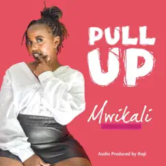 Pull Up - Single by Mwikali album reviews, ratings, credits