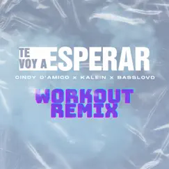 Te Voy a Esperar (feat. KALEIN & Basslovd) - Single by Cindy D'Amico album reviews, ratings, credits