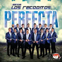 Perfecta by Banda Los Recoditos album reviews, ratings, credits