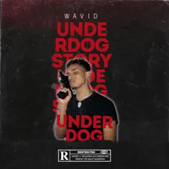 Underdog Story by Wavid album reviews, ratings, credits