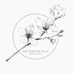 METAMORFOSIS - EP by Minipusaa album reviews, ratings, credits