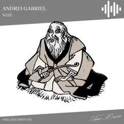 Wise - Single by Andrei Gabriel album reviews, ratings, credits