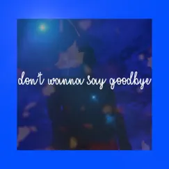 Don't Wanna Say Goodbye (with Matthew Goodman) Song Lyrics