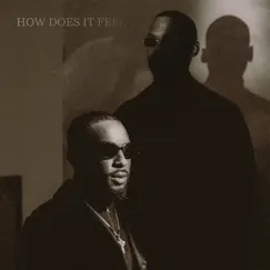 How Does It Feel - Single by Vague Detail, Kaleem Taylor & The Code album reviews, ratings, credits