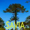 Savia - Single album lyrics, reviews, download