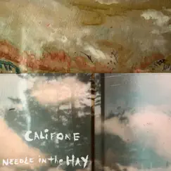 Needle in the Hay - Single by Califone album reviews, ratings, credits
