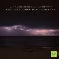 Beach Waves and Rumbling Thunder for Relaxation Song Lyrics