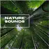 Nature Sounds For Relaxation song lyrics