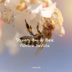 Stung by a Bee Song Lyrics
