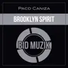 Brooklyn Spirit song lyrics