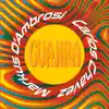 Guajira - Single album lyrics, reviews, download