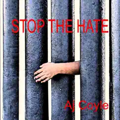 Stop the Hate Song Lyrics