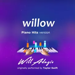 Willow (Piano Version) Song Lyrics