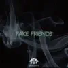 Fake Friends (Instrumental) - Single album lyrics, reviews, download