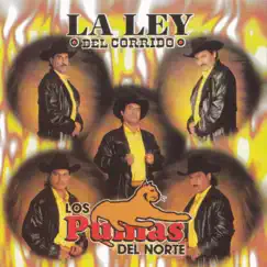 La Ley del Corrido by Los Pumas del Norte album reviews, ratings, credits