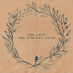 See Amid the Winter's Snow - Single by Thomas Aston & One Hope Project album reviews, ratings, credits