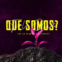 Que Somos? - Single by The La Planta & Olvidate! album reviews, ratings, credits