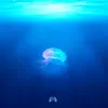 Aquatic Ambiance - Single album lyrics, reviews, download