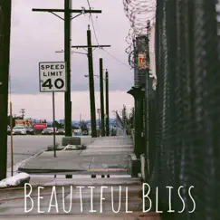 Beautiful Bliss (feat. Nasir Ali) - Single by K.M. album reviews, ratings, credits