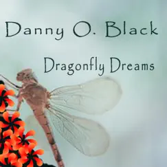 Dragonfly Dreams - Single by Danny O. Black album reviews, ratings, credits