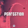 Perfection album lyrics, reviews, download