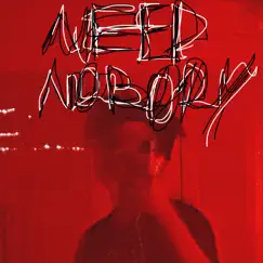 Need Nobody - Single by Grqysky album reviews, ratings, credits