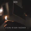 Steine in den Taschen (feat. Tarot) - Single album lyrics, reviews, download