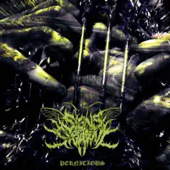 Pernicious - Single by Signs of the Swarm album reviews, ratings, credits
