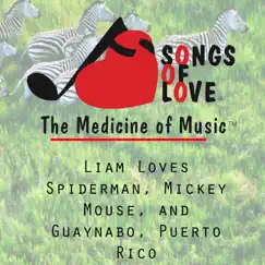 Liam Loves Spiderman, Mickey Mouse, And Guaynabo, Puerto Rico Song Lyrics