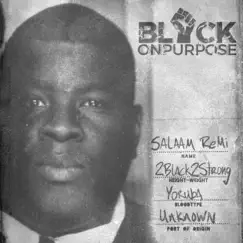 Black On Purpose Intro (feat. Malcom X) Song Lyrics